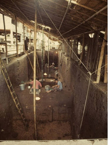 Pioneering Research in Thailand and Laos: A Lecture by Dr. Joyce White