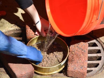 Sediment left over from the flotation process is wet-sieved through a brass mesh to retrieve items like fish bone, sherds, and other archaeological finds.