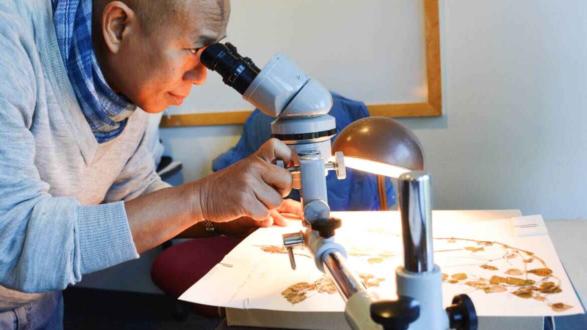 Seedy Work: Methods of Archaeobotany