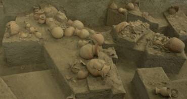 An Interview with Dr. Joyce White in “Popular Archaeology”