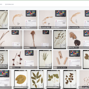 Academy-Database-News-Photo.png